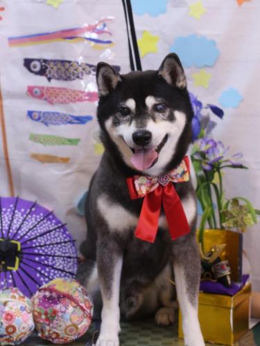 20240518タロくん